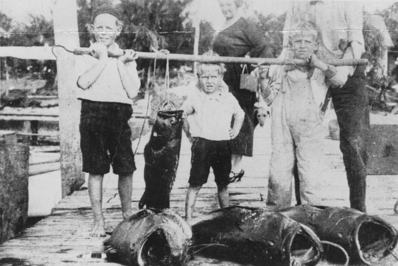 Click to See Next Image